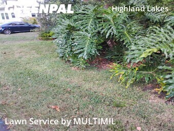 Lawn Maintenance nearby Clearwater, FL, 