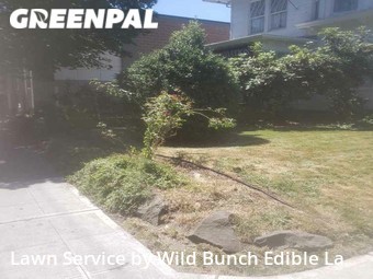 Grass Cutting nearby Seattle, WA, 