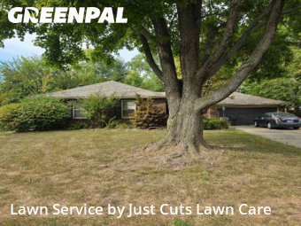 Lawn Mowing Service nearby Belleville, IL, 