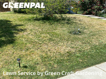 Lawn Care Service nearby Bakersfield, CA, 