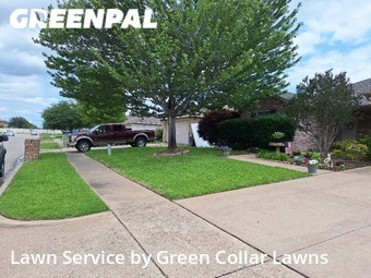 Lawn Cut nearby Grand Prairie, TX, 