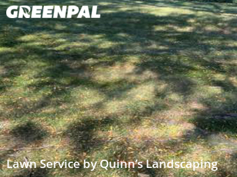 Lawn Service nearby Farmington Hills, MI, 
