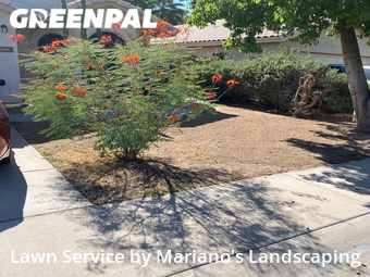 Lawn Maintenance nearby Chandler, AZ, 