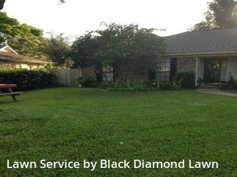 Lawn Care nearby Pensacola, FL, 