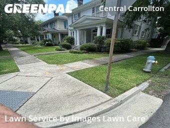 Grass Cutting nearby New Orleans, LA, 
