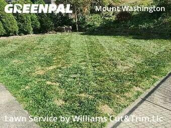 Grass Cut nearby Pittsburgh, PA, 