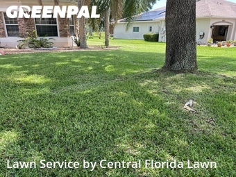 Yard Mowing nearby Auburndale, FL, 