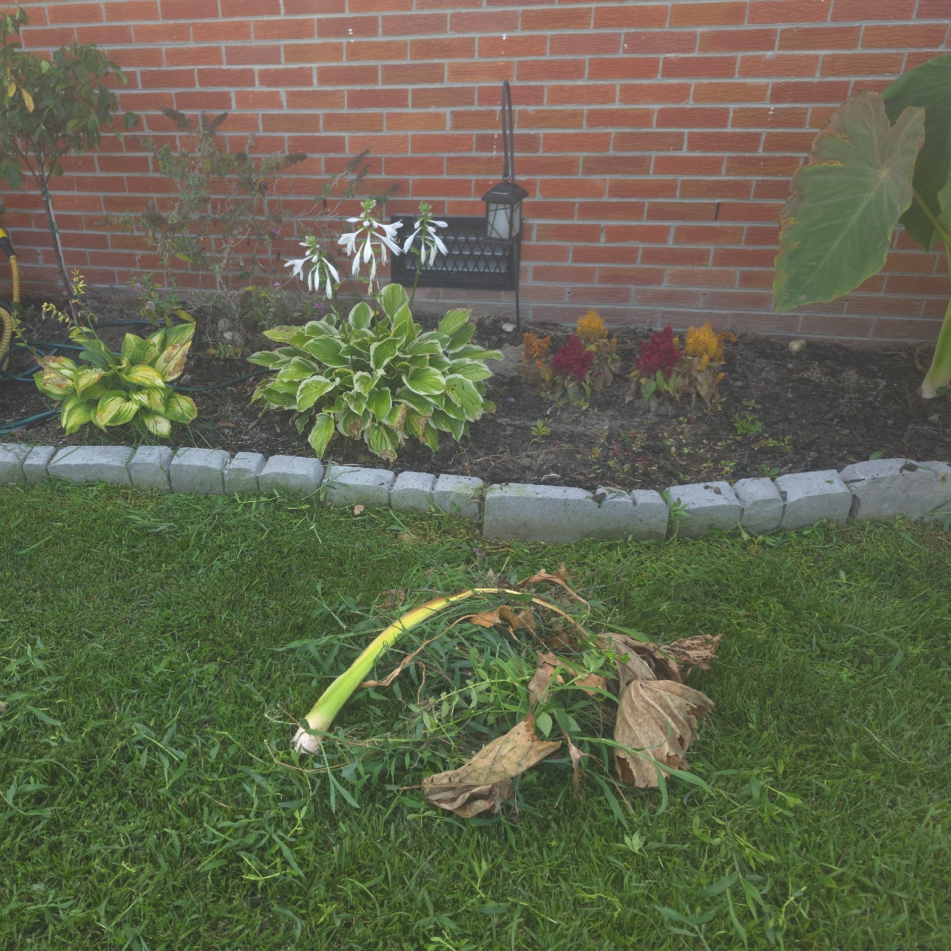 Landscaping Companies In Hampton,23669,Landscaping Installation by Karisma Landscaping, work completed in Jul , 2026
