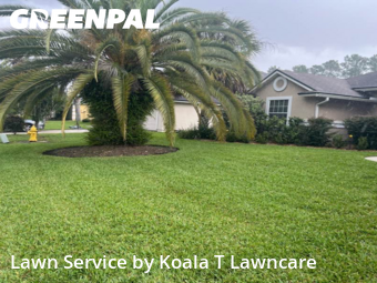 Grass Cut nearby Jacksonville, FL, 