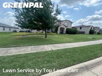 Lawn Mowing nearby Cedar Hill, TX, 