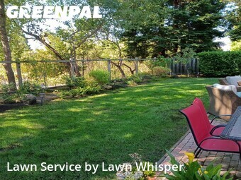 Lawn mowed in Danville, 94506