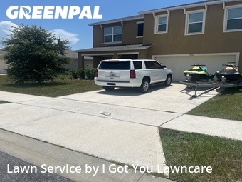 Grass Cut nearby Tavares, FL, 