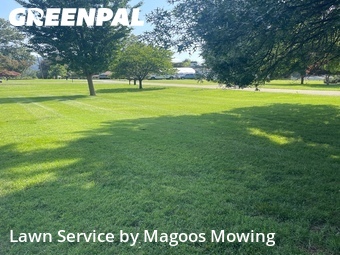 Grass Cutting nearby Kingsport, TN, 