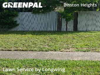 Grass Cutin St Petersburg,33710,Lawn Maintenance by Longwing, work completed in Feb , 2026