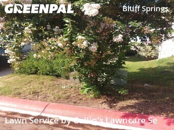 Lawn Maintenance nearby Austin, TX, 