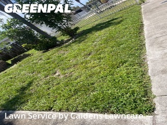 Yard Cutting nearby Pompano Beach, FL, 