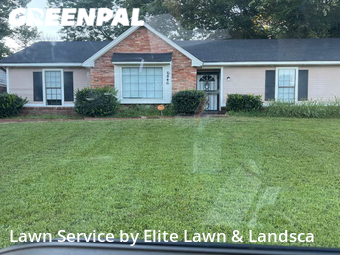Grass Cut nearby Memphis, MS, 