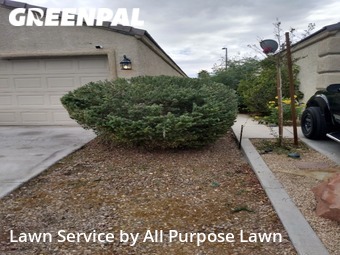 Grass Cutting nearby Las Vegas, NV, 