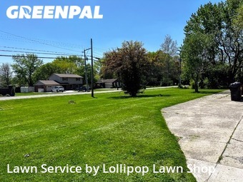 Turf Services in Lima, 45805, Yard Grooming by Lollipop Lawn Shop, work completed in Nov , 2025