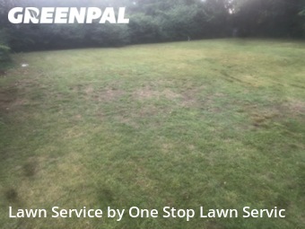 Lawn Cut nearby Memphis, AR, 