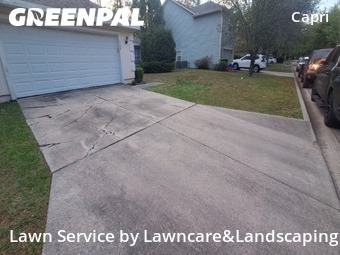 Lawn Cut nearby Gainesville, FL, 