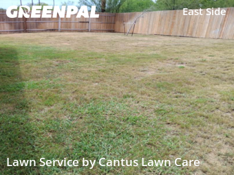Lawn Service nearby San Antonio, TX, 