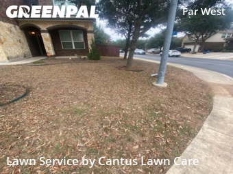 Lawn Mowin San Antonio,78254,Lawn Cutting by Cantus Lawn Care, work completed in Dec , 2025