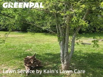 Lawn Maintenance nearby Texas City, TX, 