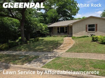 Lawn Cut nearby Dallas, TX, 