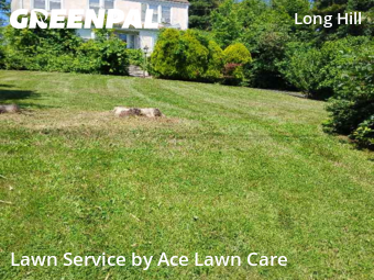 Turf Services in Trumbull, 6611, Yard Services by Ace Lawn Care, work completed in Nov , 2025
