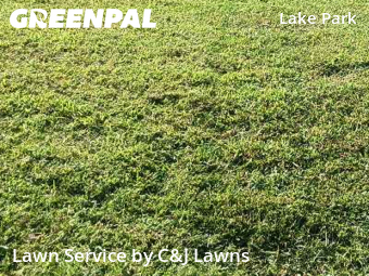 Lawn Care nearby Nashville, TN, 