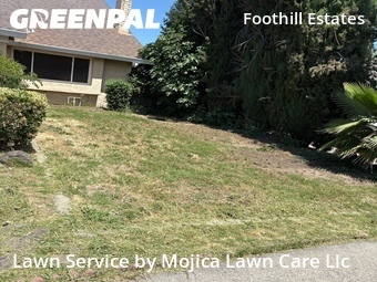 Lawn mowing work completed in Citrus Heights, CA