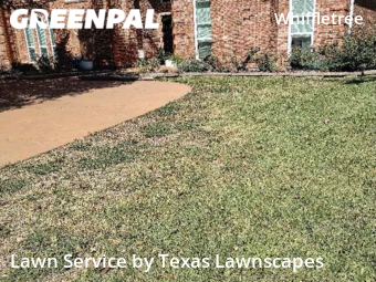 Lawn Care Service nearby Plano, TX, 