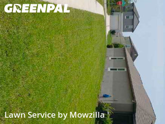 Lawn Mowing Service nearby Sun City Center, FL, 