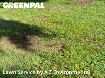 Lawn Mowing nearby Lake Alfred, FL, 