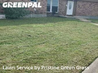 Lawn Service nearby Galveston, TX, 