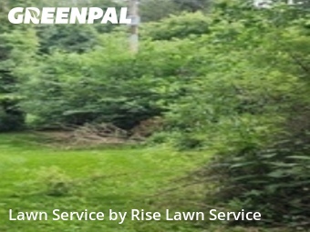 Lawn Mow nearby Bettendorf, IA, 