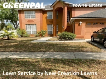 Grass Cut nearby Brandon, FL, 