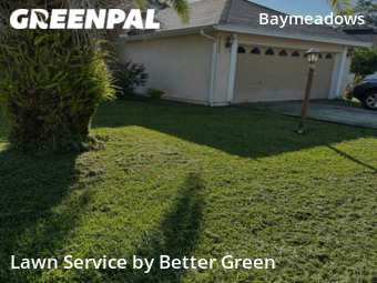 Lawn Cutting nearby Jacksonville, FL, 