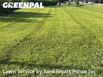 Lawn Maintenance nearby Plainfield, IL, 