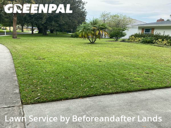 Lawn Mow nearby Orlando, FL, 