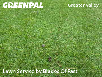 Lawn Mowing Service nearby Decatur, GA, 