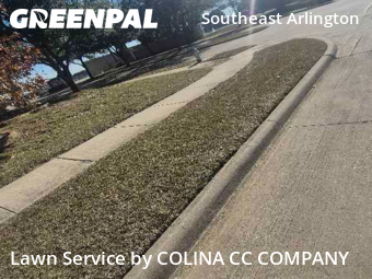 Backyard Landscaping In Arlington,76002,Landscaping Services by COLINA CC COMPANY, work completed in Dec , 2025