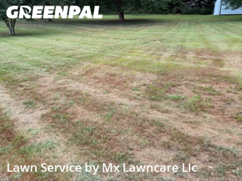 Lawn Cutting nearby Robards, KY, 