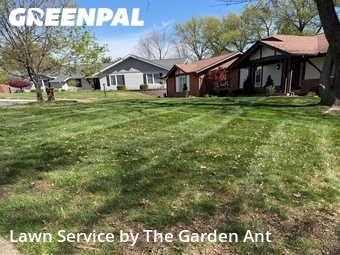 Lawn Mowing nearby Ballwin, MO, 