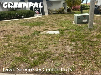 Lawn Cut nearby Bradenton, FL, 