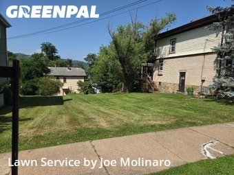 Grass Cutting nearby Coraopolis, PA, 