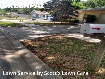 Yard Cutting nearby Palm Harbor, FL, 