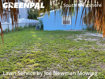 Grass Cutting nearby Tampa, FL, 