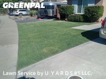 Lawn Mow nearby Modesto, CA, 